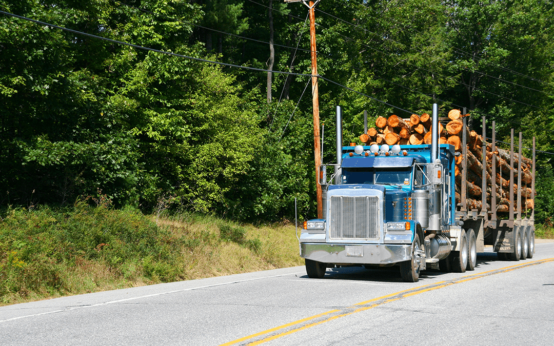 If A Tree Falls In The Woods, Will Your Truck Be Repaired Quickly?